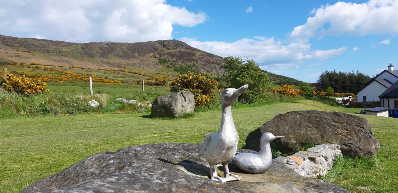 Safe Haven - Luxury Family Accommodation Carlingford Eksteriør bilde