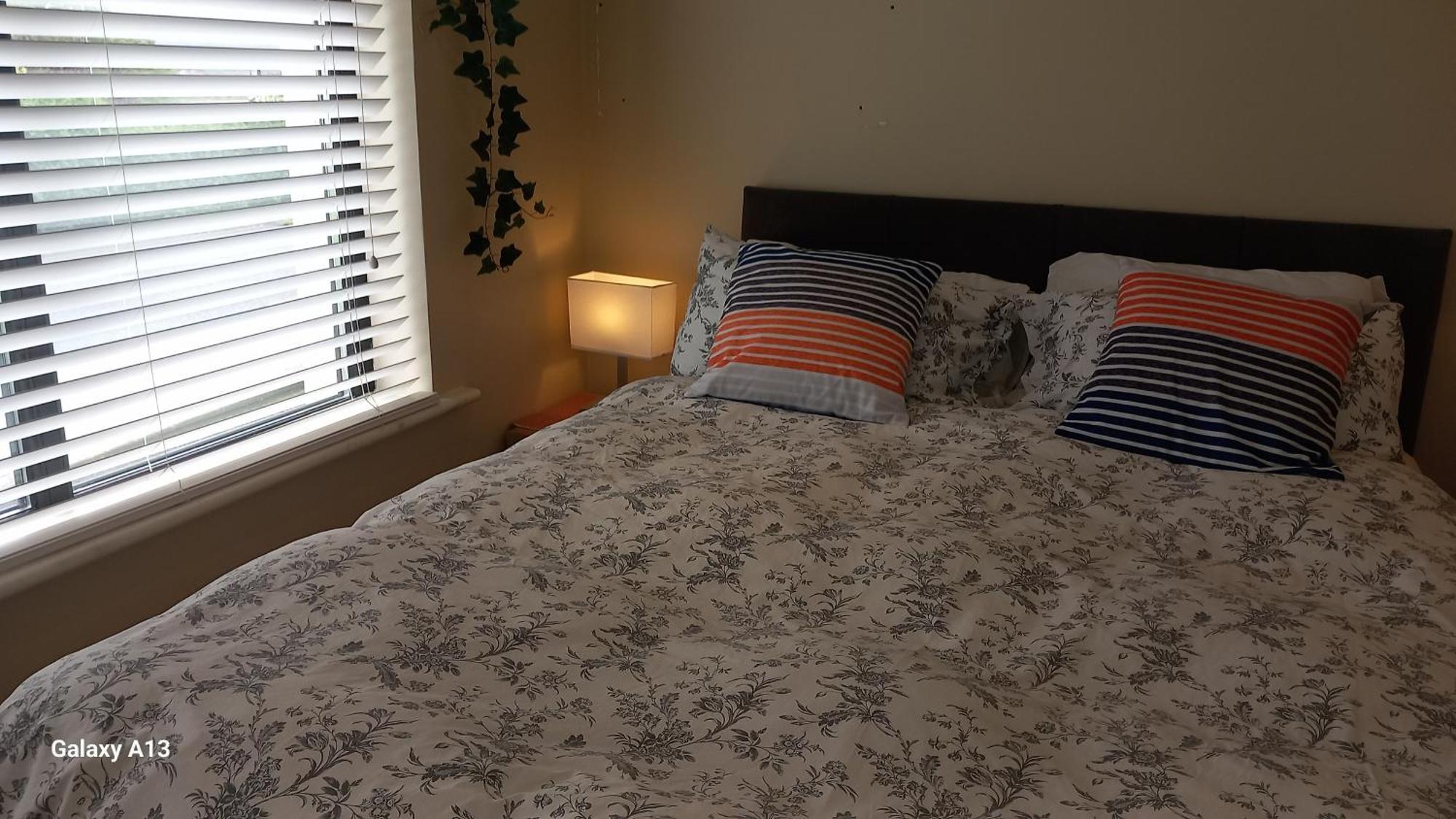 Safe Haven - Luxury Family Accommodation Carlingford Eksteriør bilde
